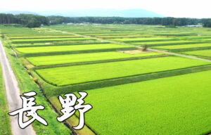 軽井沢のおしゃれ貸別荘 コテージ おすすめ3選 Inaサイト