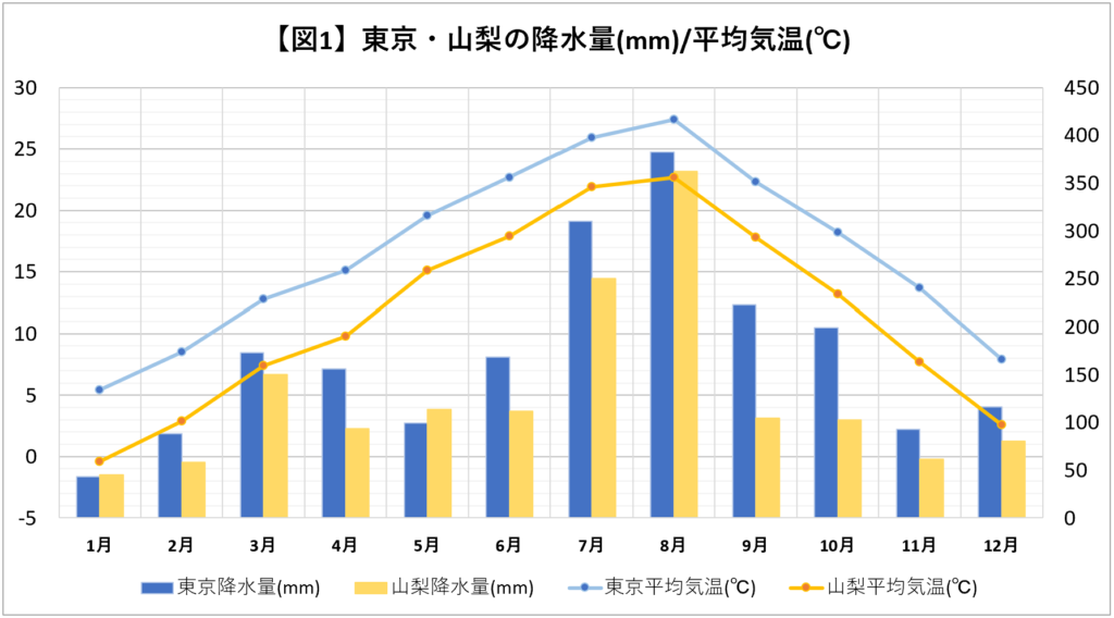 東京と山梨の降水量/平均気温グラフ