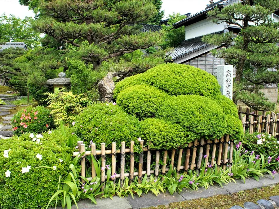 和美再美 石動 柏屋の日本庭園
