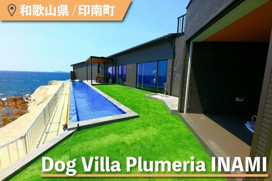 Dog Villa Plumeria INAMIのプール