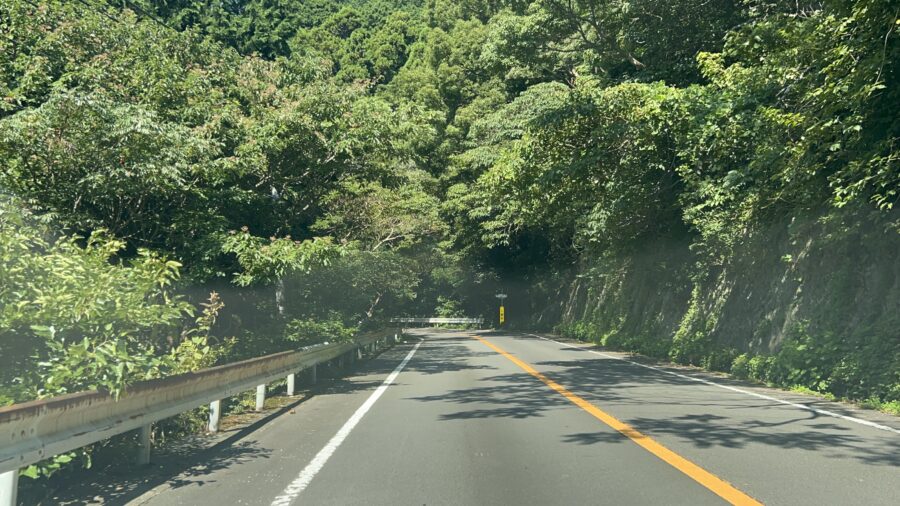 プライベートリゾート 月灯までの車内からの風景