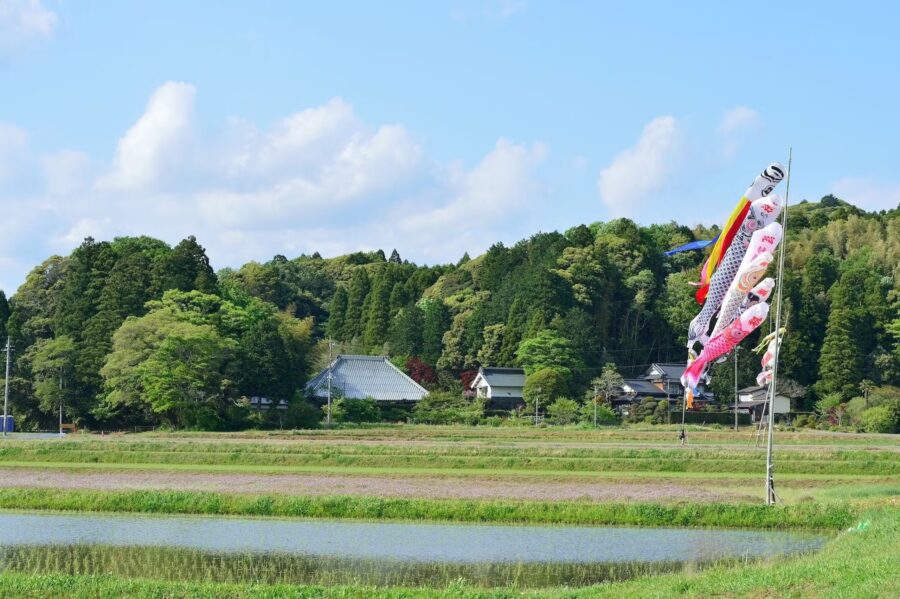 まるがやつの周辺