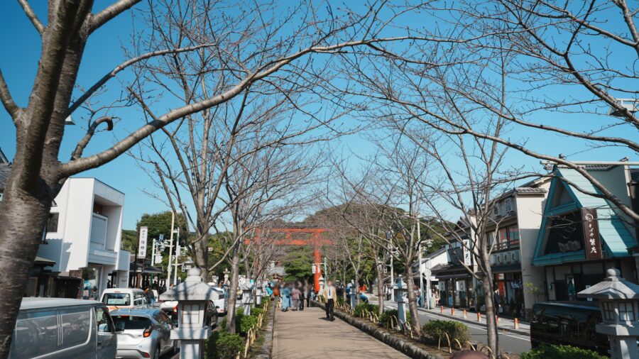 鶴岡八幡宮の前の道路