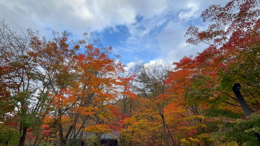 軽井沢の紅葉