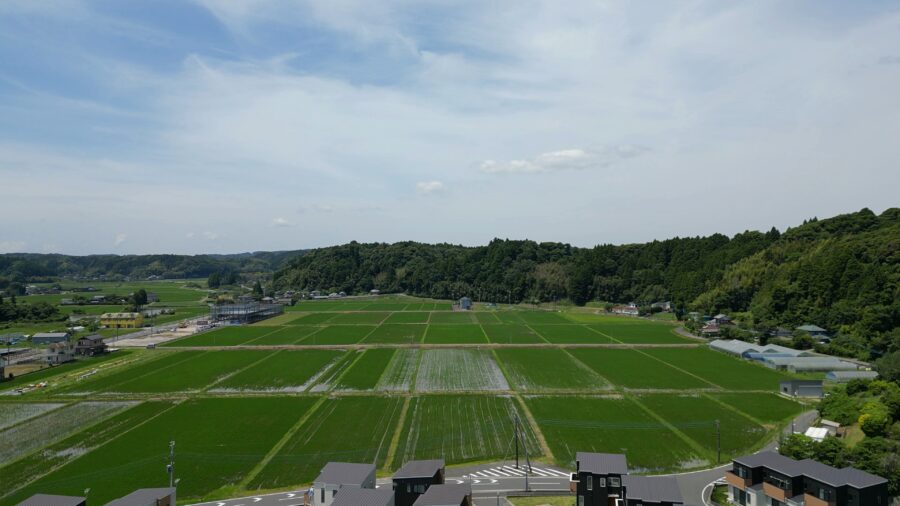 いすみ市