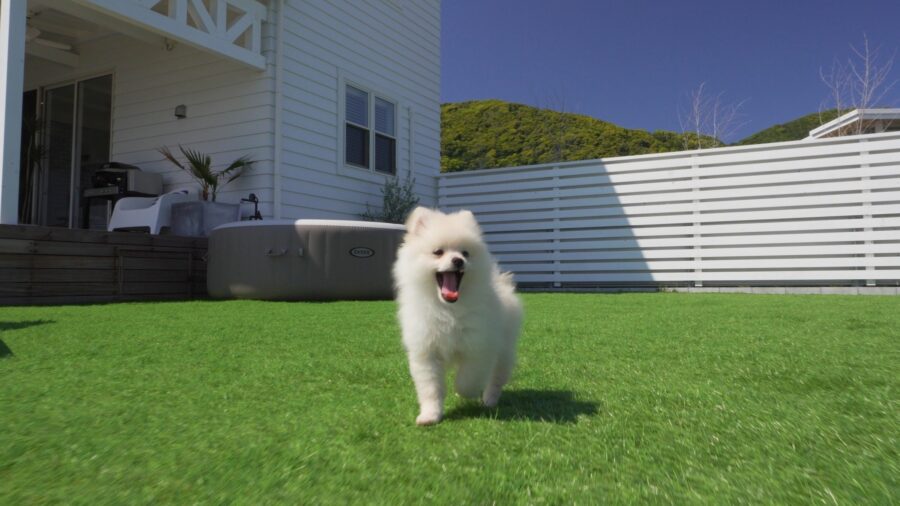 GIFTHOUSE HANAREでのペットとの滞在